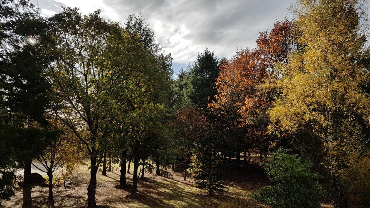 Le Clos des Écureuils Vouzon Esterno foto