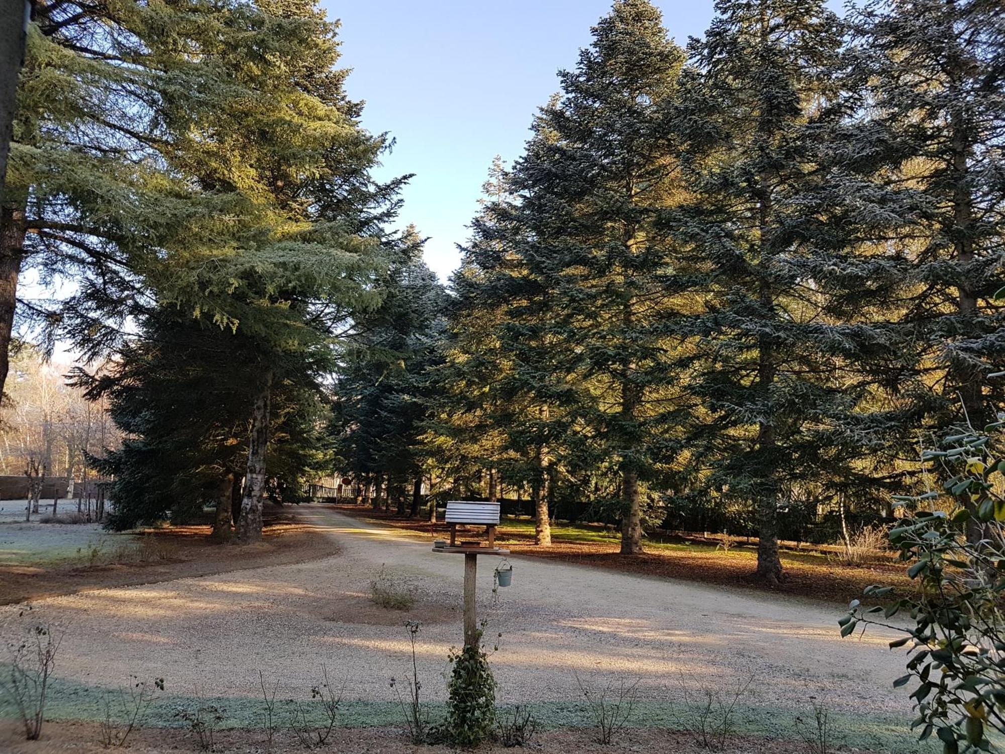 Le Clos des Écureuils Vouzon Esterno foto