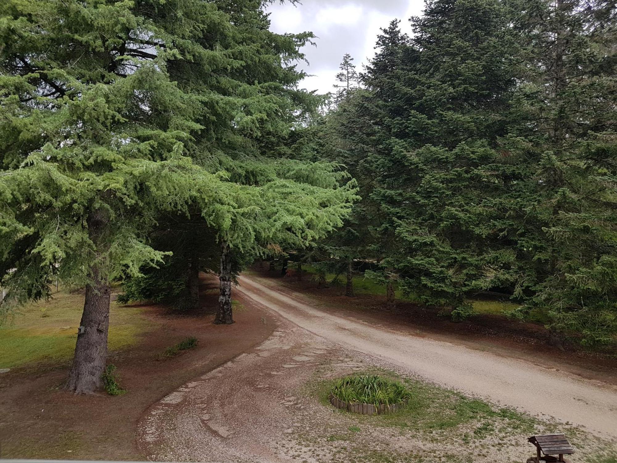 Le Clos des Écureuils Vouzon Esterno foto