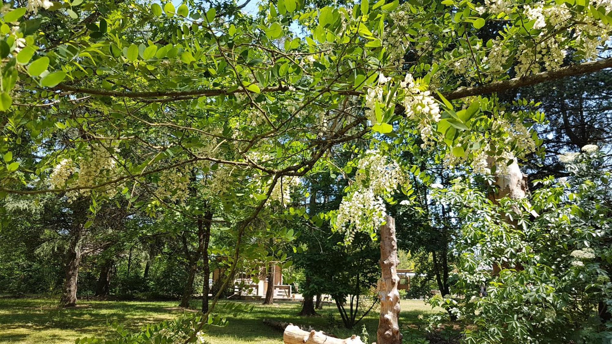 Le Clos des Écureuils Vouzon Esterno foto